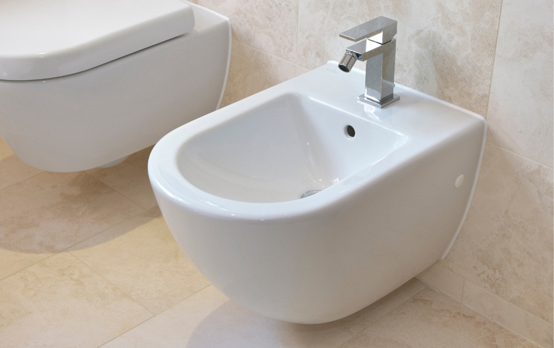 A bidet, which is known to help with issues such as hemorrhoids.