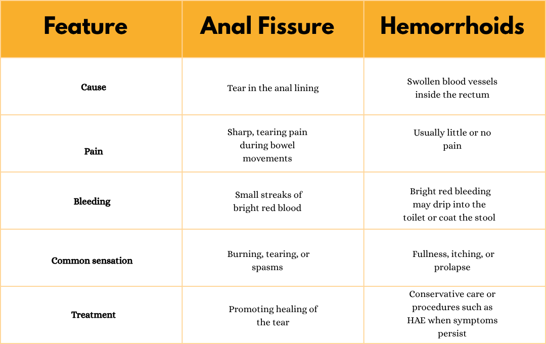 Difference between anal fissures and hemorrhoids
